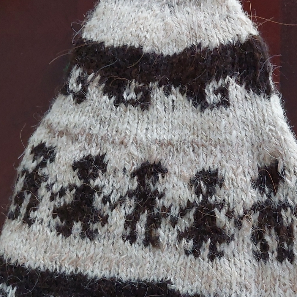 Peruvian Wool Hat - image 6